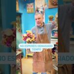 Descubre la elegancia de Floristería Hortensia: ¡Flores frescas y hermosas!