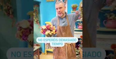 Descubre la elegancia de Floristería Hortensia: ¡Flores frescas y hermosas!