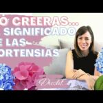 Hortensia tatuaje: Descubre la belleza y significado de esta flor en la piel