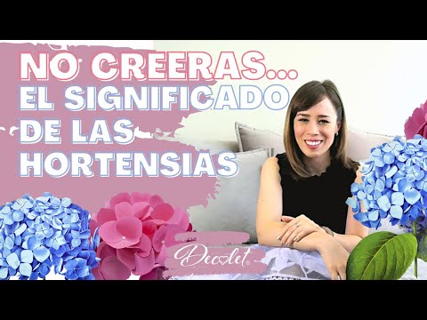 Hortensia tatuaje: Descubre la belleza y significado de esta flor en la piel